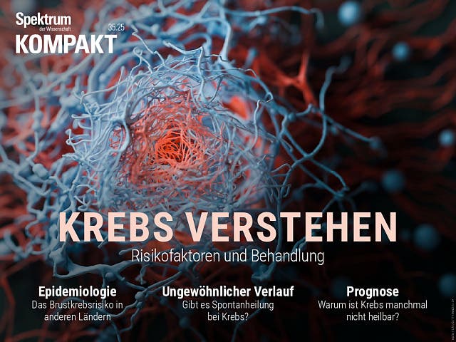  Krebs verstehen