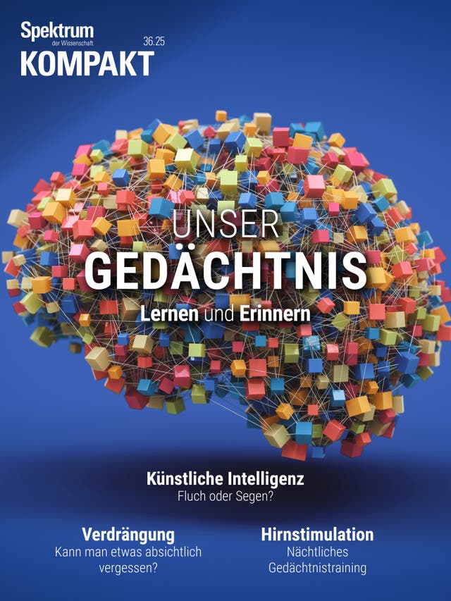 Das Bild zeigt das Cover einer Ausgabe von "Spektrum der Wissenschaft Kompakt" mit dem Titel "Unser Gedächtnis: Lernen und Erinnern". Im Zentrum ist eine künstlerische Darstellung eines Gehirns aus bunten, miteinander verbundenen Würfeln zu sehen. Der Hintergrund ist blau. Auf dem Cover stehen Themen wie "Künstliche Intelligenz: Fluch oder Segen?", "Verdrängung: Kann man etwas absichtlich vergessen?" und "Hirnstimulation: Nächtliches Gedächtnistraining".