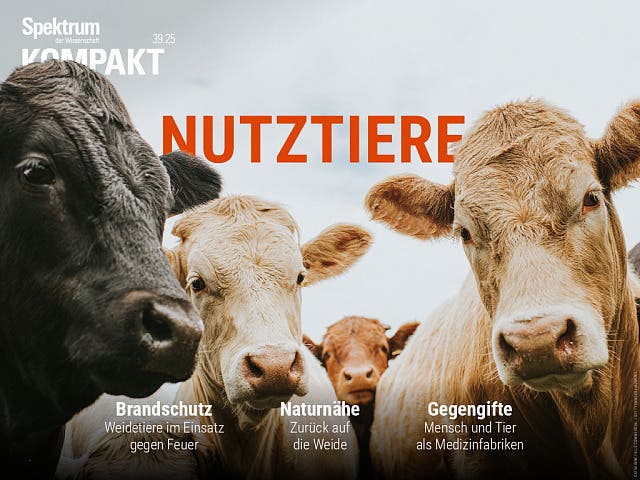  Nutztiere