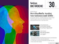 Spektrum - Die Woche - 30/2025 - Der rätselhafte Anstieg von Autismus und ADHS Spektrum - Die Woche - 30/2025 - Der rätselhafte Anstieg von Autismus und ADHS