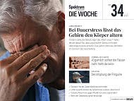 Spektrum - Die Woche - 34/2025 - Bei Dauerstress lässt das Gehirn den Körper altern