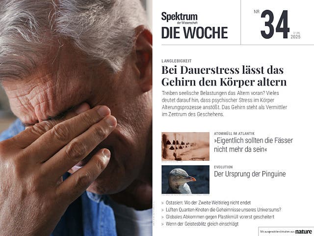  Bei Dauerstress lässt das Gehirn den Körper altern