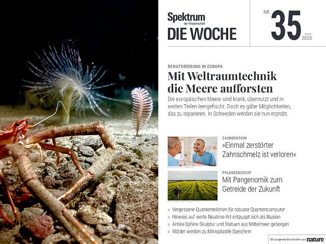  Mit Weltraumtechnik die Meere aufforsten