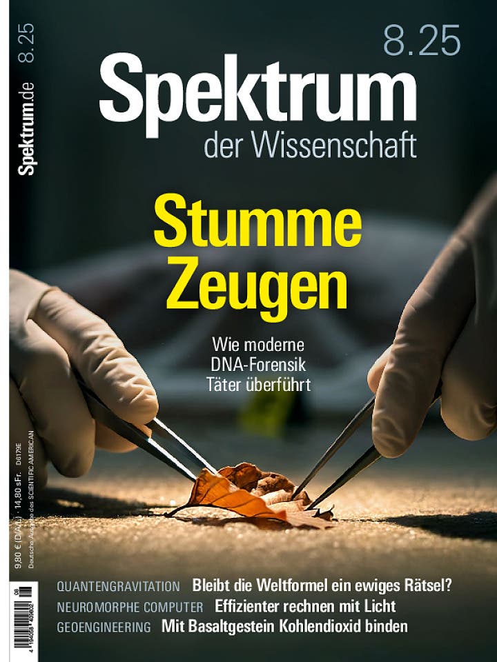 SdW_202508_ges (pdf)