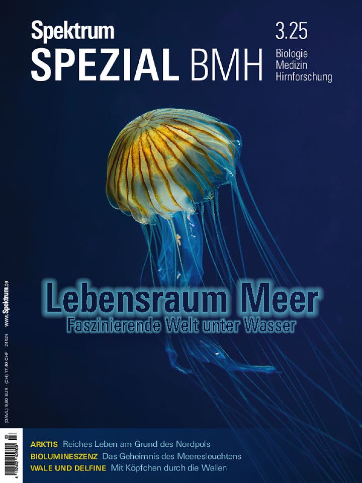 SdW_bmh_202503_ges (pdf)