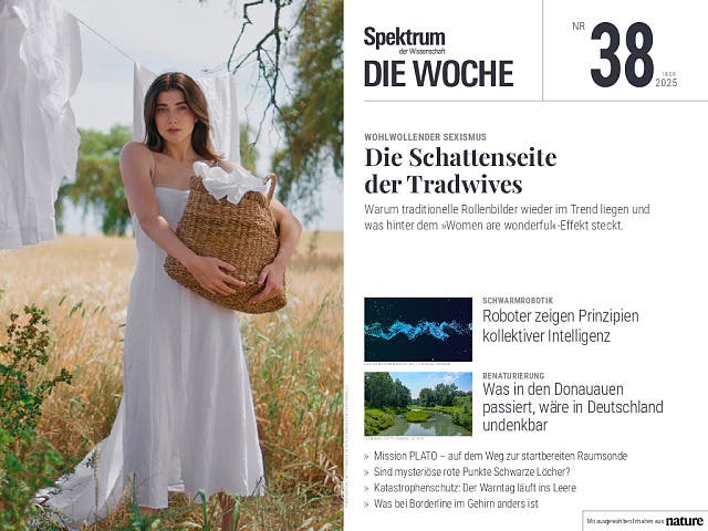  Die Schattenseiten der Tradwives