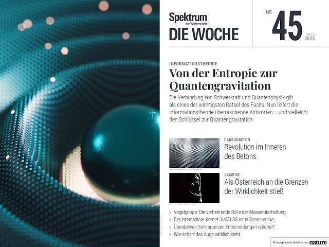  Von der Entropie zur Quantengravitation