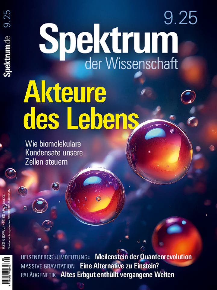 SdW_202509_ges (pdf)