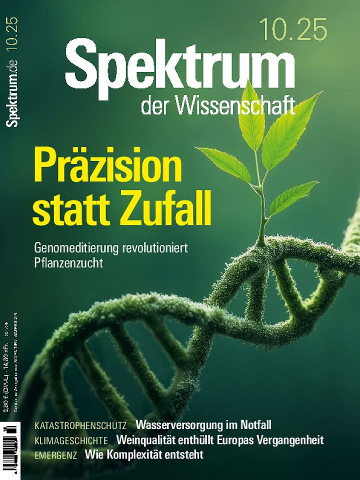 SdW_202510_ges (pdf)