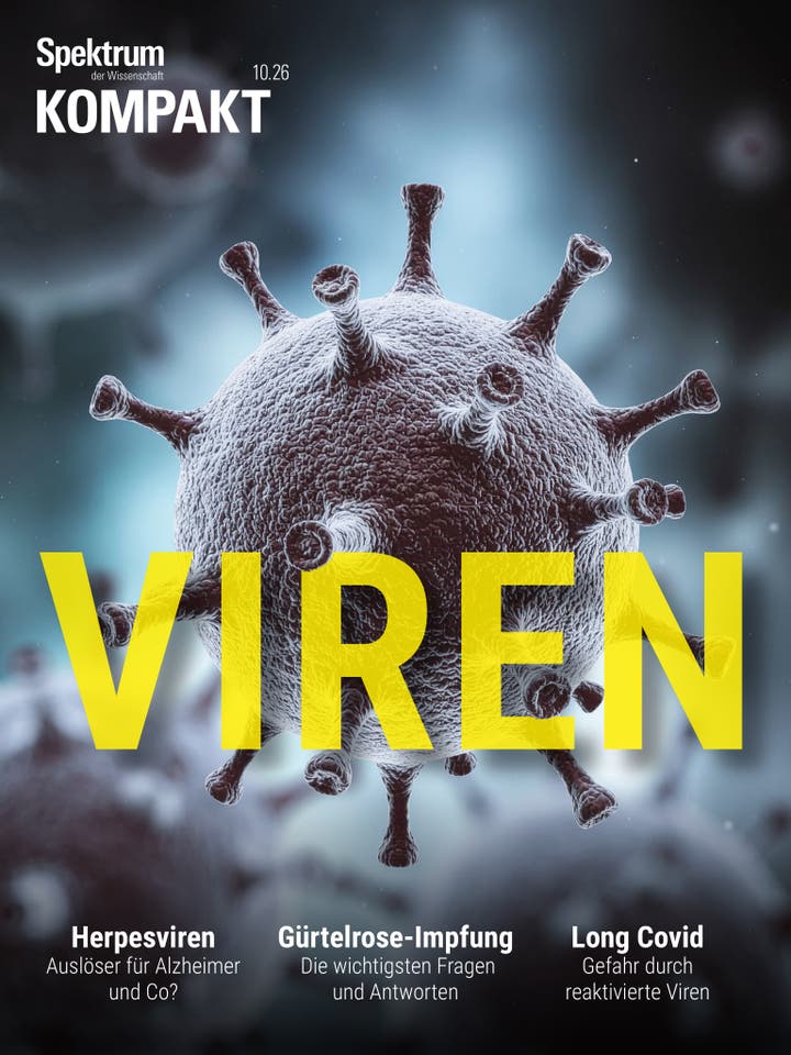 Titelbild des Magazins "Spektrum der Wissenschaft Kompakt" mit dem Thema "Viren". Im Vordergrund ist eine vergr&ouml;&szlig;erte Darstellung eines Viruspartikels mit stachelartigen Strukturen zu sehen. Der Hintergrund ist unscharf und in blauen T&ouml;nen gehalten. Der Titel "VIREN" ist in gro&szlig;en, gelben Buchstaben &uuml;ber das Bild gelegt. Unten sind Themen wie "Herpesviren: Ausl&ouml;ser f&uuml;r Alzheimer und Co?", "G&uuml;rtelrose-Impfung: Die wichtigsten Fragen und Antworten" und "Long Covid: Gefahr durch reaktivierte Viren" aufgef&uuml;hrt.