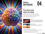 Titelbild des Magazins "Spektrum der Wissenschaft &ndash; Die Woche", Ausgabe Nr. 04 vom 22.01.2026. Im Zentrum ein farbenfrohes, k&uuml;nstlerisches Bild eines Gehirns, umgeben von leuchtenden, wellenf&ouml;rmigen Linien, die ein Gef&uuml;hl von Energie und Bewegung vermitteln. Der Hauptartikel tr&auml;gt den Titel "Vor dem Tod sind wir high" und bezieht sich auf DMT. Weitere Themen: KI l&ouml;st ein altes Matheproblem, Zeitverlangsamung, Schr&ouml;dingers Katze und Antidepressiva.