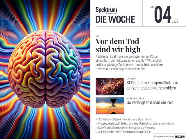 Nahtoderfahrungen: Was Menschen nach dem Herzstillstand erleben - Spektrum  der Wissenschaft