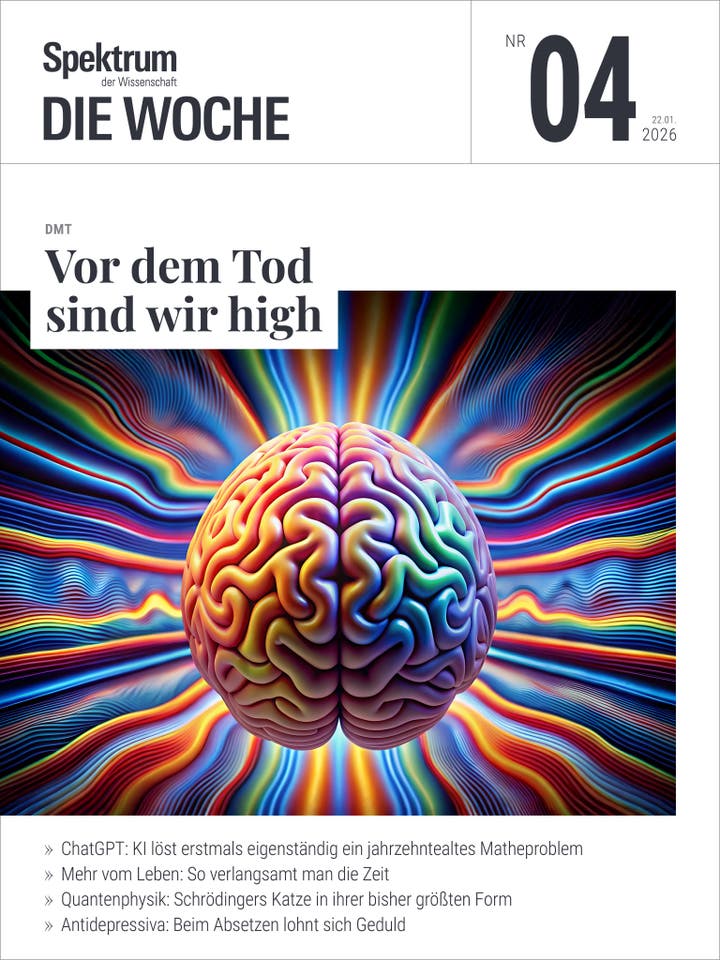Titelbild des Magazins "Spektrum der Wissenschaft &ndash; Die Woche", Ausgabe Nr. 04 vom 22.01.2026. Im Zentrum ein farbenfrohes, k&uuml;nstlerisches Bild eines Gehirns, umgeben von leuchtenden, wellenf&ouml;rmigen Linien, die ein Gef&uuml;hl von Energie und Bewegung vermitteln. Der Hauptartikel tr&auml;gt den Titel "Vor dem Tod sind wir high" und bezieht sich auf DMT. Weitere Themen: KI l&ouml;st ein altes Matheproblem, Zeitverlangsamung, Schr&ouml;dingers Katze und Antidepressiva.