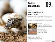 Titelbild der Zeitschrift "Spektrum der Wissenschaft &ndash; Die Woche", Ausgabe Nr. 09 vom 26. Februar 2026. Im Vordergrund ist ein Krokodiljunges zu sehen, das aus einem Ei schl&uuml;pft. Der Artikel "Das Geschlecht ist kein Zufall" wird hervorgehoben. Weitere Themen sind die Geschichte der goldenen Seide, globale Datenl&uuml;cken, ein sich selbst kopierendes Erbmolek&uuml;l und die R&uuml;ckkehr von Riesenschildkr&ouml;ten.