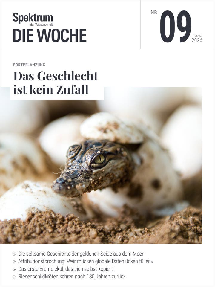 Titelbild der Zeitschrift "Spektrum der Wissenschaft &ndash; Die Woche", Ausgabe Nr. 09 vom 26. Februar 2026. Im Vordergrund ist ein Krokodiljunges zu sehen, das aus einem Ei schl&uuml;pft. Der Artikel "Das Geschlecht ist kein Zufall" wird hervorgehoben. Weitere Themen sind die Geschichte der goldenen Seide, globale Datenl&uuml;cken, ein sich selbst kopierendes Erbmolek&uuml;l und die R&uuml;ckkehr von Riesenschildkr&ouml;ten.