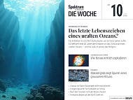 Titelbild des Magazins "Spektrum der Wissenschaft &ndash; Die Woche", Ausgabe Nr. 10 vom 5. M&auml;rz 2026. Das Hauptthema lautet: "Das letzte Lebenszeichen eines uralten Ozeans?" und bezieht sich auf ein Erdbeben auf Borneo. Das Bild zeigt eine Unterwasserszene mit Sonnenstrahlen, die durch das Wasser auf den Meeresboden scheinen, umgeben von felsigen Strukturen. Weitere Themen auf dem Cover sind: die Explosion von Novae, ein Massengrab aus der Eisenzeit, die EEG-Novelle und ein Positivbild von Schulen.