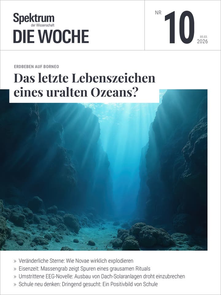 Titelbild des Magazins "Spektrum der Wissenschaft &ndash; Die Woche", Ausgabe Nr. 10 vom 5. M&auml;rz 2026. Das Hauptthema lautet: "Das letzte Lebenszeichen eines uralten Ozeans?" und bezieht sich auf ein Erdbeben auf Borneo. Das Bild zeigt eine Unterwasserszene mit Sonnenstrahlen, die durch das Wasser auf den Meeresboden scheinen, umgeben von felsigen Strukturen. Weitere Themen auf dem Cover sind: die Explosion von Novae, ein Massengrab aus der Eisenzeit, die EEG-Novelle und ein Positivbild von Schulen.