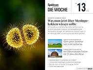 Titelbild eines Magazins mit dem Titel "Spektrum der Wissenschaft - Die Woche", Ausgabe Nr. 13 vom 26. M&auml;rz 2026. Der Hauptartikel behandelt einen Meningitis-Ausbruch in Kent und tr&auml;gt den Titel "Was man jetzt &uuml;ber Meningokokken wissen sollte". Das Bild zeigt eine fluoreszenzmikroskopische Aufnahme von Meningokokken-Bakterien, die kugelf&ouml;rmig und gelblich leuchtend dargestellt sind. Im Hintergrund sind weitere unscharfe Bakterien zu sehen. Zus&auml;tzliche Artikelthemen umfassen Biomethan in Heizungen, eine Entdeckung am CERN, saisonale Entscheidungen im Fr&uuml;hling und die Auswirkungen trockener B&ouml;den auf Krankheitserreger.