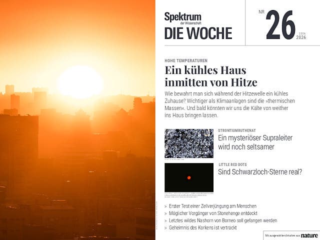 Titelbild des Magazins "Spektrum Die Woche", Ausgabe Nr. 26 vom 25. Juni 2026. Im Vordergrund ist eine st&auml;dtische Skyline bei Sonnenuntergang zu sehen, die in warmes, orangefarbenes Licht getaucht ist. Der Hauptartikel tr&auml;gt den Titel "Ein k&uuml;hles Haus inmitten von Hitze" und thematisiert hohe Temperaturen. Weitere Artikel&uuml;berschriften sind: "Strontiumruthenat: Ein mysteri&ouml;ser Supraleiter wird noch seltsamer", "Gentherapie: Erster Test einer Zellverj&uuml;ngung am Menschen", "Little Red Dots: Sind Schwarzlichter real?" und "Artensterben: Letztes wildes Nashorn von Borneo soll gefangen werden".