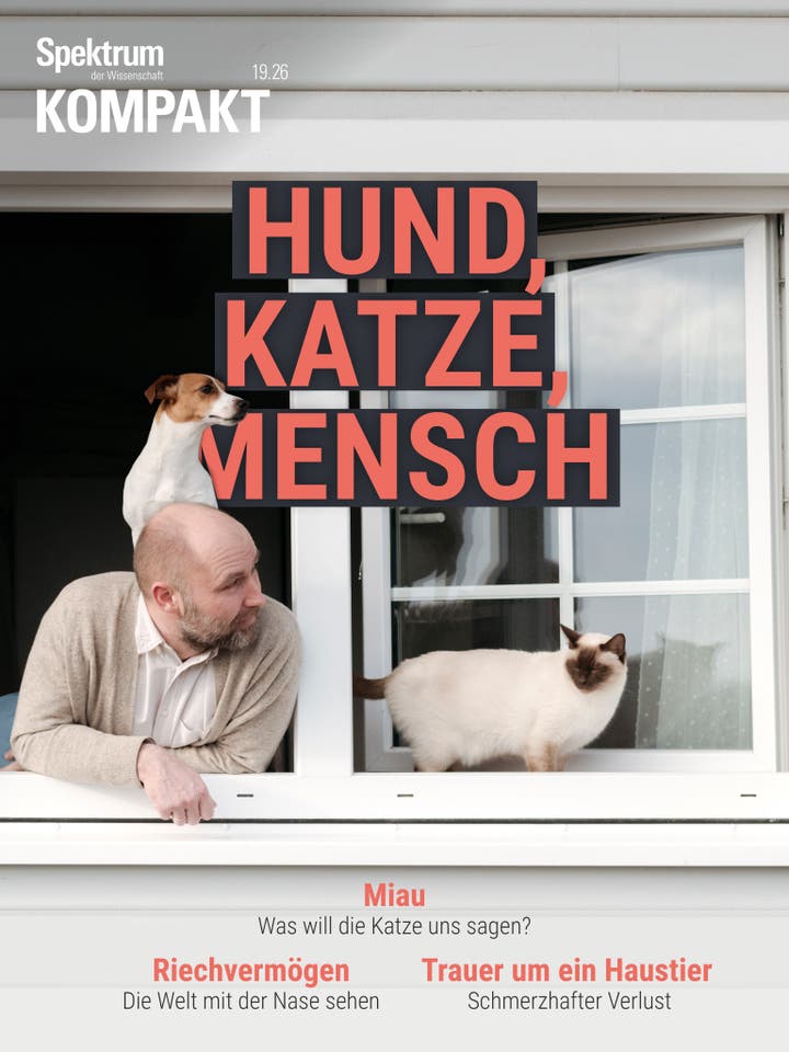 Ein Mann lehnt sich aus einem Fenster, w&auml;hrend ein Hund auf seinem Kopf sitzt und eine Katze auf der Fensterbank steht. Der Titel des Magazins lautet &bdquo;Hund, Katze, Mensch&ldquo;. Weitere Themen auf dem Cover sind &bdquo;Miau: Was will die Katze uns sagen?&ldquo;, &bdquo;Riechverm&ouml;gen: Die Welt mit der Nase sehen&ldquo; und &bdquo;Trauer um ein Haustier: Schmerzhafter Verlust&ldquo;. Das Bild vermittelt eine Verbindung zwischen Mensch und Tier.