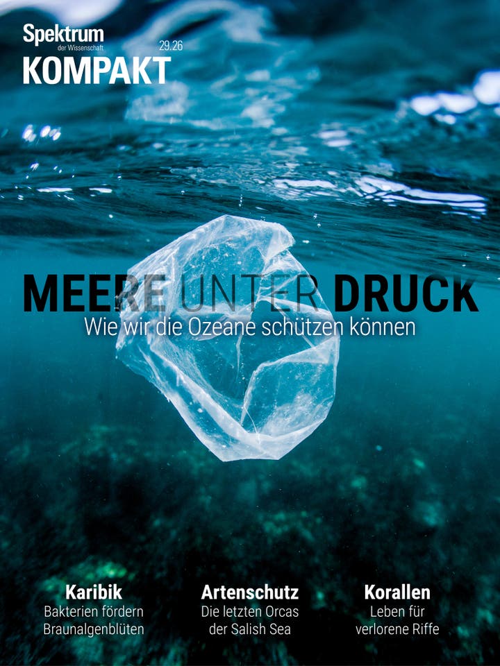 Unterwasseraufnahme eines Plastikbeutels, der im Meer schwebt. Der Hintergrund zeigt verschwommenen Meeresboden. Oben links steht &bdquo;Spektrum der Wissenschaft KOMPAKT 29.26&ldquo;. In der Mitte der Text &bdquo;MEERE UNTER DRUCK: Wie wir die Ozeane sch&uuml;tzen k&ouml;nnen&ldquo;. Unten sind Themen&uuml;berschriften: &bdquo;Karibik: Bakterien f&ouml;rdern Braunalgenbl&uuml;ten&ldquo;, &bdquo;Artenschutz: Die letzten Orcas der Salish Sea&ldquo; und &bdquo;Korallen: Leben f&uuml;r verlorene Riffe&ldquo;.